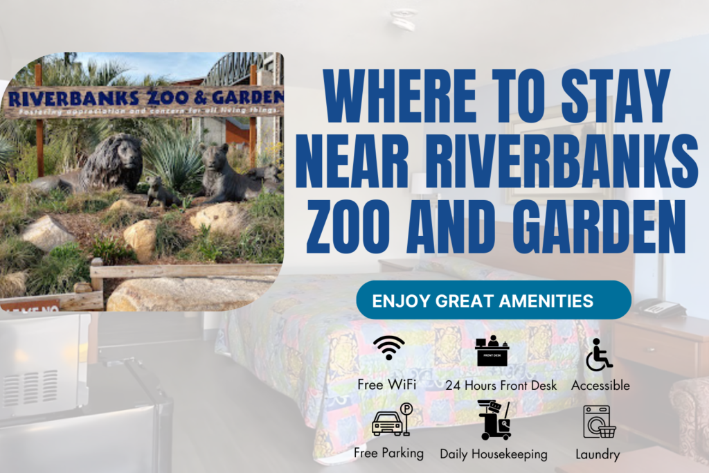 Where to Stay Near Riverbanks Zoo and Garden – Executive Inn West Columbia